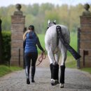 Kentucky horsewear - Tail Guard & Tail bag