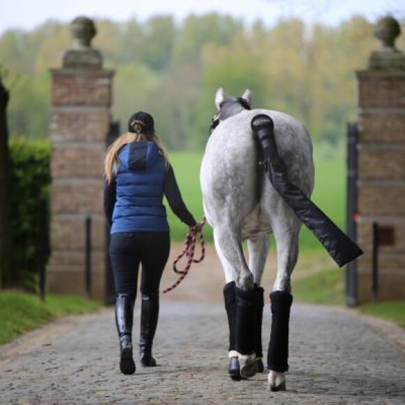 Kentucky horsewear - Tail Guard & Tail bag