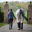 Kentucky horsewear - Tailbag