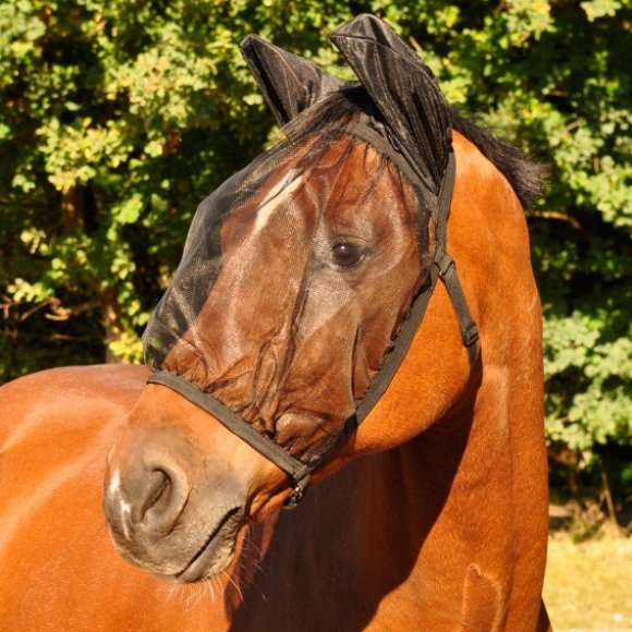 Waldhausen - Fly mask with ears 