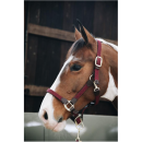 Kentucky horsewear - Plaited nylon halter 