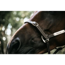 Kentucky horsewear - Fleksibel kunstlæder grime 