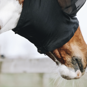 Kentucky horsewear - Fluemaske slimfit m. lynlås
