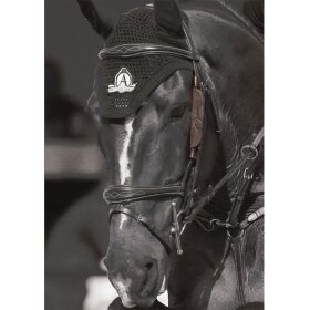 Dyon - Blinkers / skygge klapper 