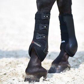 Catago - Fir-Tech healing dressur gamacher 