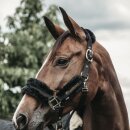 Kentucky horsewear - Nylon lammeskinds grime 