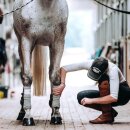 Incrediwear Equine - Circulation bandages 