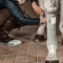 Incrediwear Equine - Circulation bandages 