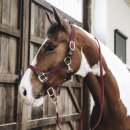 Kentucky horsewear - Plaited nylon halter 