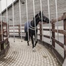 Kentucky horsewear - Walker rug waterproof 