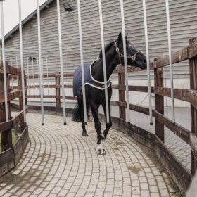 Kentucky horsewear - Walker rug waterproof 