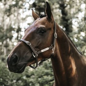 Kentucky horsewear - Fleksibel kunstlæder grime 