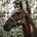 Kentucky horsewear - Fleksibel kunstlæder grime STR. COB