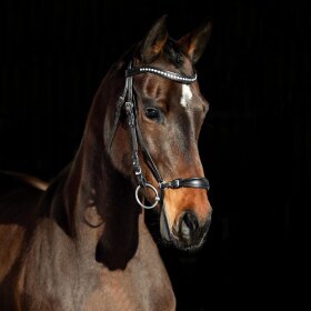 Horze - Bergen trense 