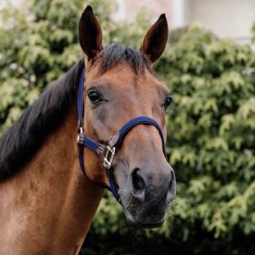 Kentucky horsewear - Plaited nylon halter 