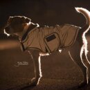 Kentucky Dogwear - Reflective hundedækken 