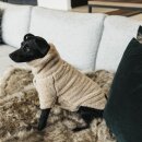 Kentucky Dogwear - Teddy fleece hundesweater