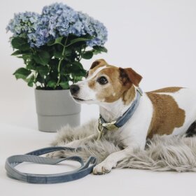 Kentucky Dogwear - Velvet hundesnor 120 cm