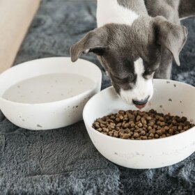 Kentucky Dogwear - Bamboo terazzo hundeskål str. L 