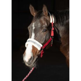 Harrys Horse - Julegrime med træktov Harrys Horse - Julegrime med træktov