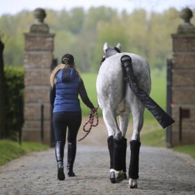 Kentucky horsewear - Stable bandage pad 