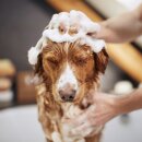 Nathalie - Deluxe hunde shampoo 250 ml