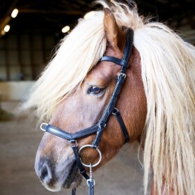 Eques - Start up trense 