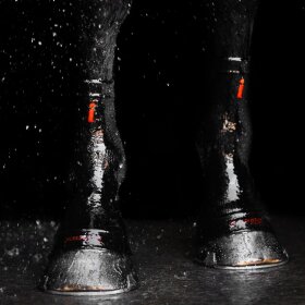 Incrediwear Equine - Circulation hoof sock 