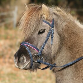 Waldhausen - Unicorn trense