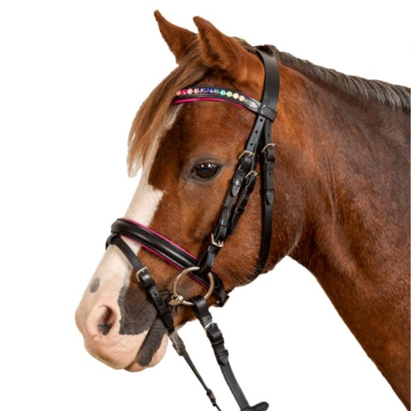 Waldhausen - Pinky Star trense