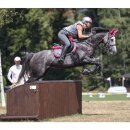 Waldhausen - Equine Fusion active jogging hovsko