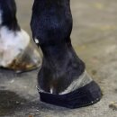 Kentucky horsewear - Sole tape 5-pack