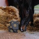 Kentucky horsewear - Relax horse play & hay ball