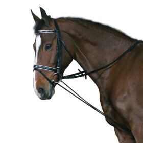 HorseGuard - Elastik chambon