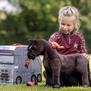 LeMieux - Mini toy pony grooming set