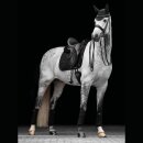 LeMieux - Crystal suede dressurunderlag