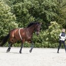HorseGuard - Soft longeringshjælp