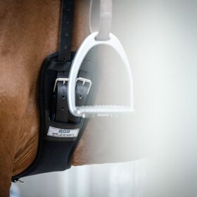 Stubben - Neopren dressurgjord coolmax