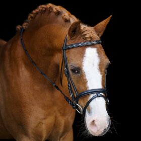 Imperial Riding - Shetty stormy bridle