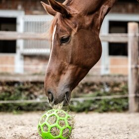 Waldhausen - Hay ball
