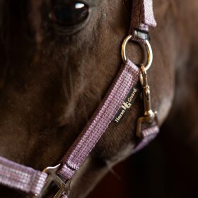 HorseGuard - Mascha grime