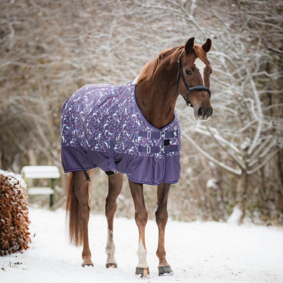 HorseGuard - Josh Pony overgangsdækken 100 g 