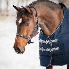 HorseGuard - Sophie stalddækken 300 g.