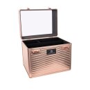Imperial Riding - Shiny grooming box