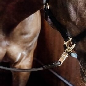 Kentucky horsewear - Lead ties silicone 55 cm