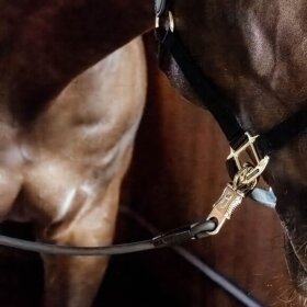 Kentucky horsewear - Lead ties silicone 140 cm