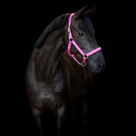 HorseGuard - Malva grime 