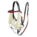 LeMieux - Hobby Horse racing trense