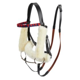 LeMieux - Hobby Horse racing trense