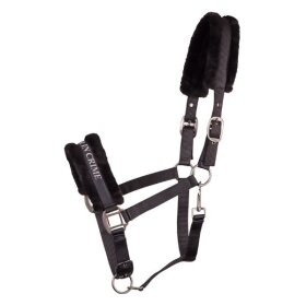 Harrys Horse - Lyrics quotes grime